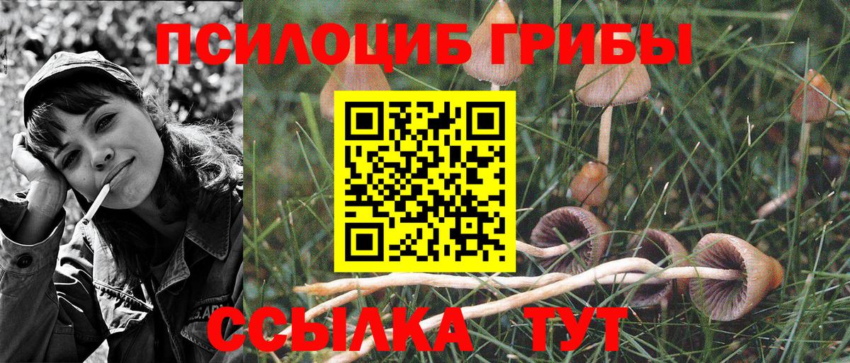 Псилоцибиновые грибы прущие грибы Миасс